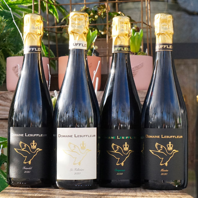 Cidre "Missus" 2020 - Benoît Lesuffleur