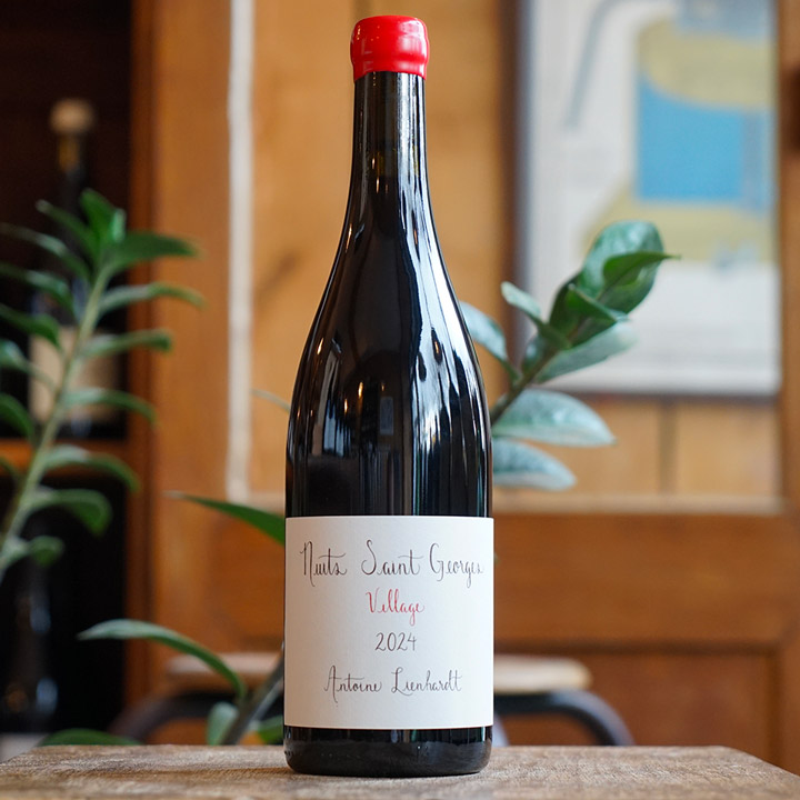 Nuits Saint-Georges 2024 - Antoine Lienhardt