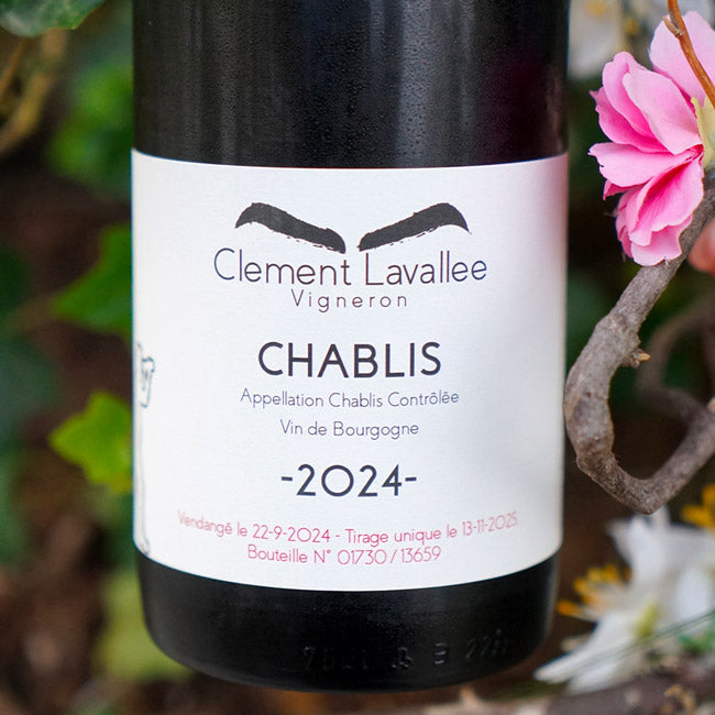 Chablis 2024 - Clément Lavallée