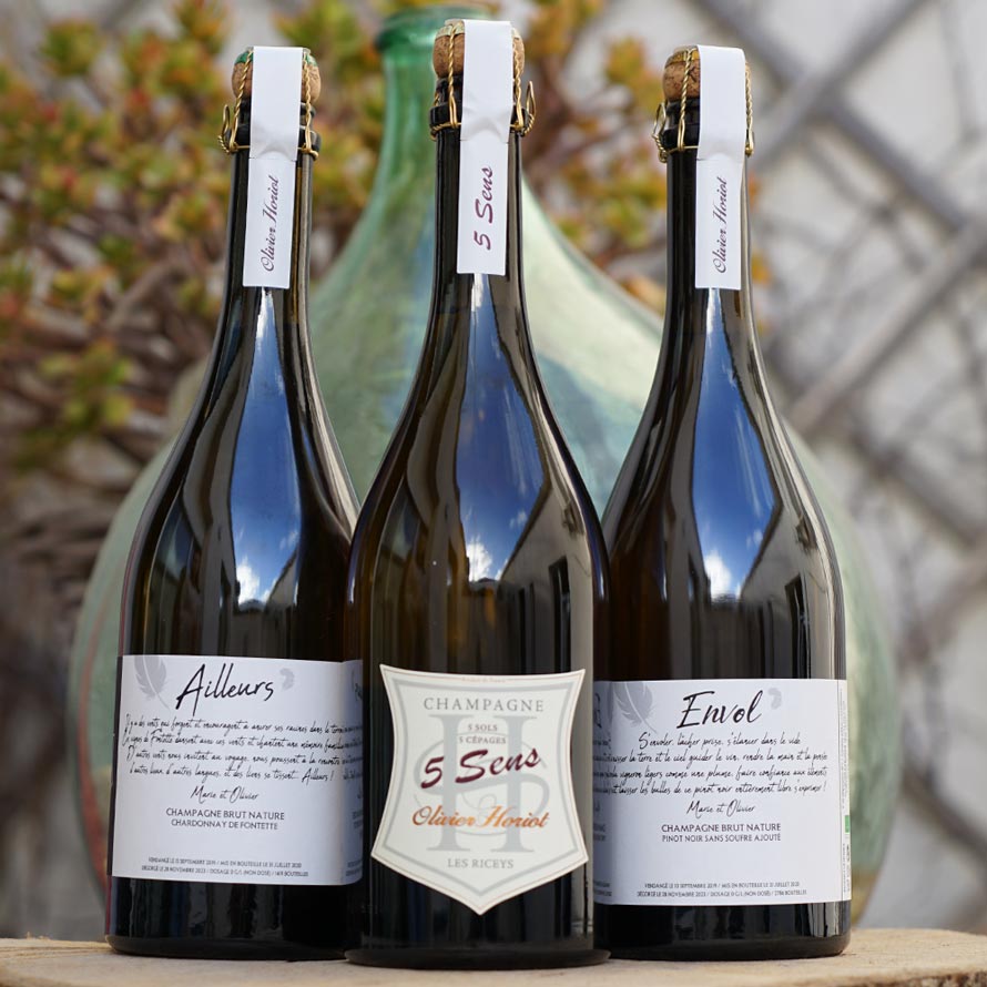 5 Sens 2018 - Serge & Olivier Horiot