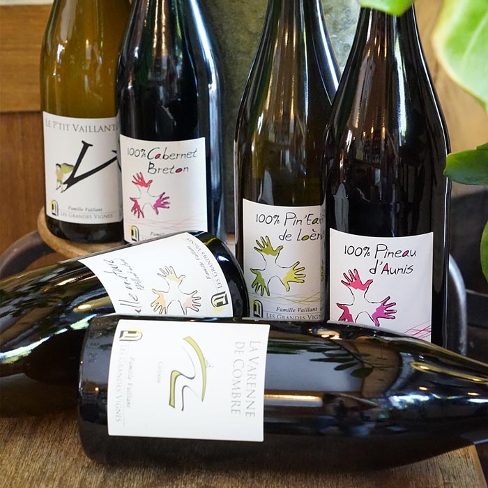 Cabernet Breton 2022 - Les Grandes Vignes