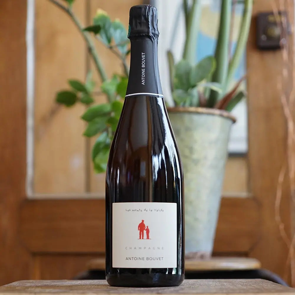 Les Monts de la Vallée Rosé - Antoine Bouvet