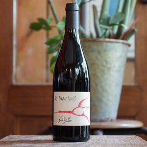 Grenache 2025 - Les Foulards Rouges