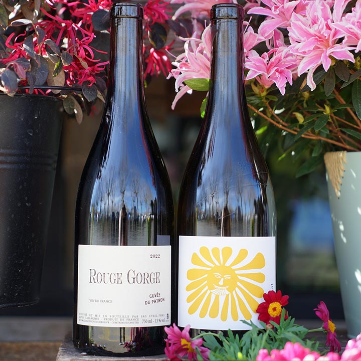 Femme Soleil Macabeu 2024 - Cyril Fhal