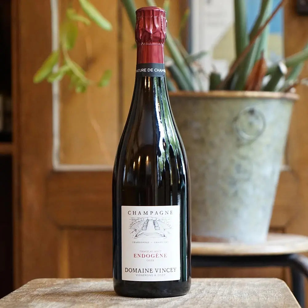 Endogène Tirage au Moût Oger Grand Cru base 2019 - Domaine Vincey