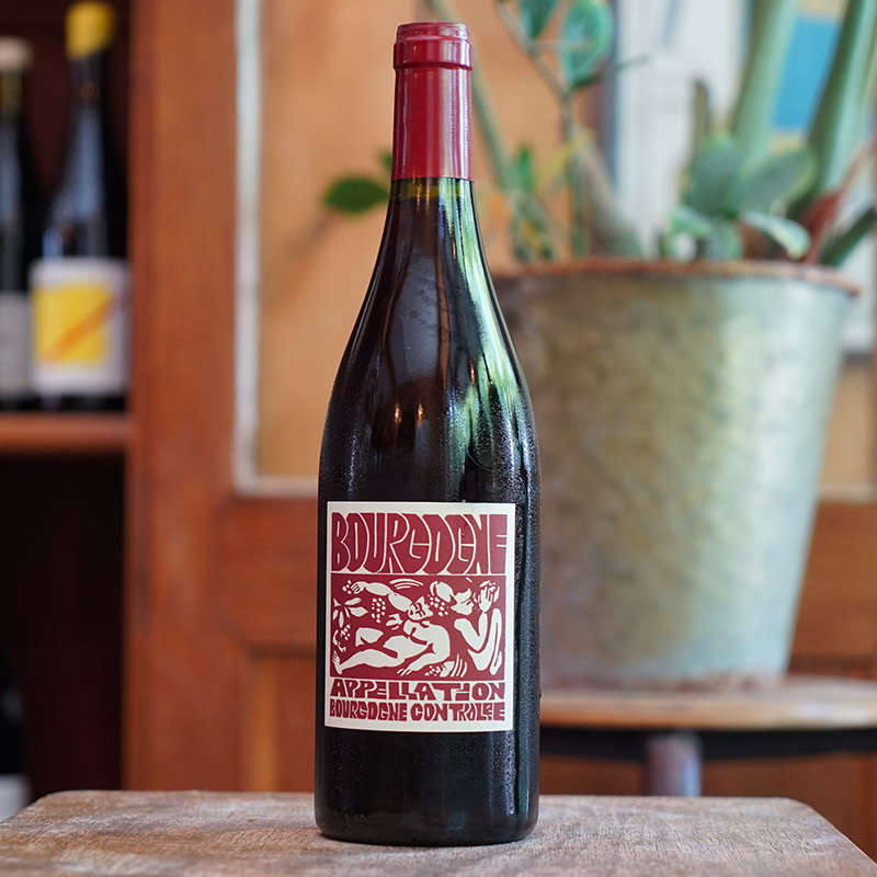 Bourgogne Rouge 2024 - La Soeur Cadette