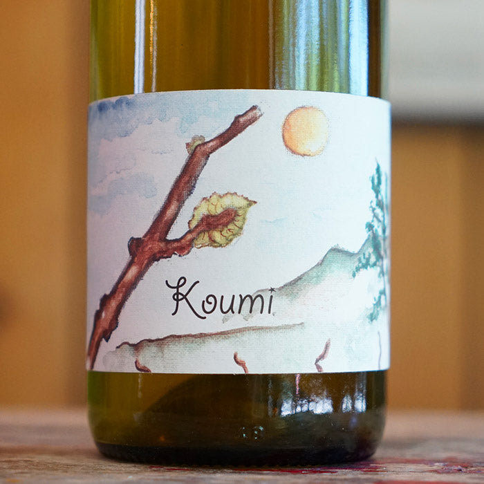 Koumi 2023 - Simon Bousquet