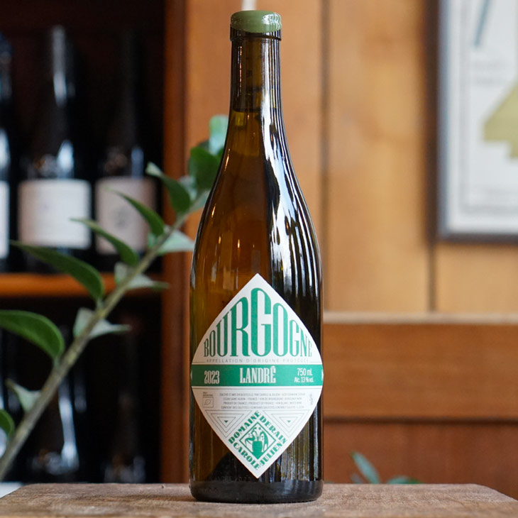 Bourgogne Blanc "Landré" 2023 - Domaine Derain