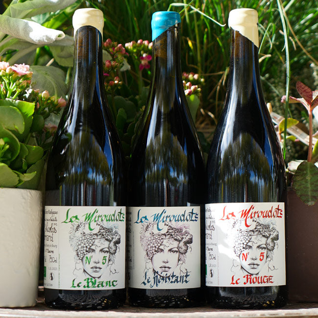 Le Blanc 2023 - Les Miroudots