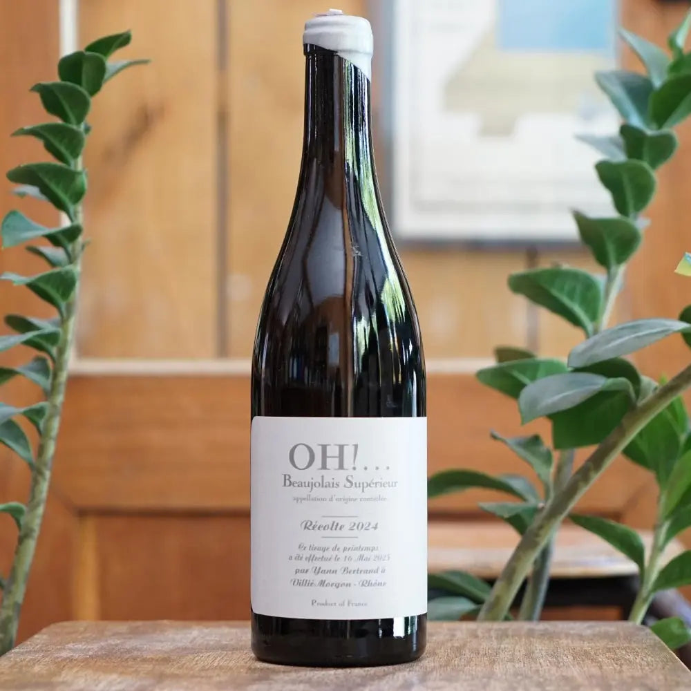 Oh!... 2024 - Yann Bertrand