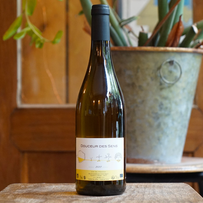 Sauvignon Blanc & Gris 2023 - Olivier Seguin