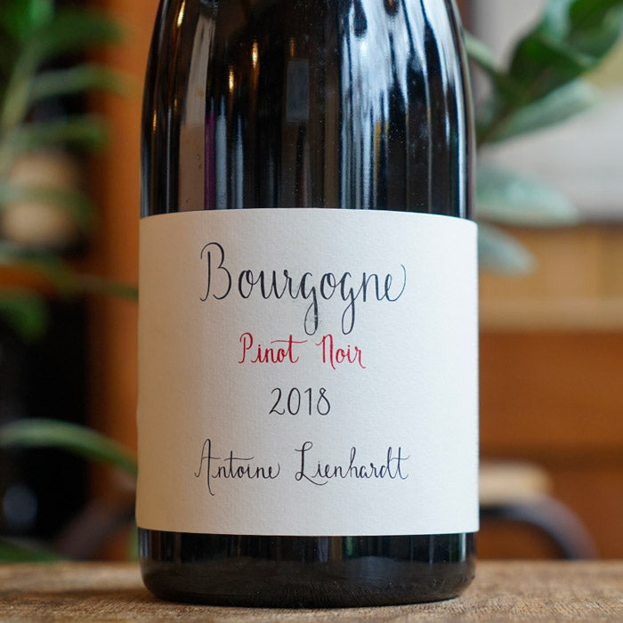 Bourgogne Rouge 2018 Magnum - Antoine Lienhardt
