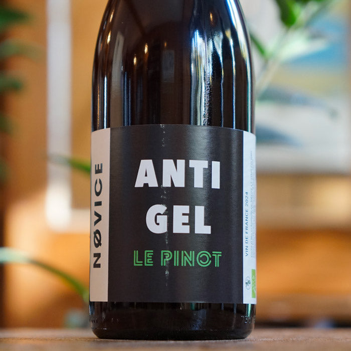Le Pinot 2024 - NOVICE