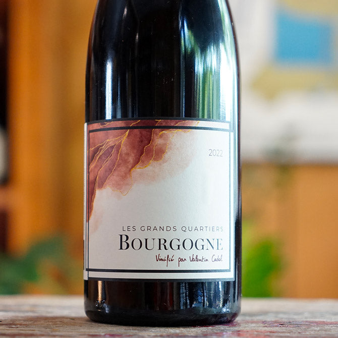 Bourgogne Rouge "Les Grands Quartiers" 2022 - Tour Saint Hilaire