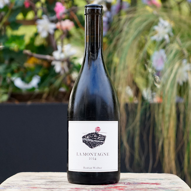 Côte de Nuits Villages Rouge "La Montagne" 2024 - Bastian Wolber