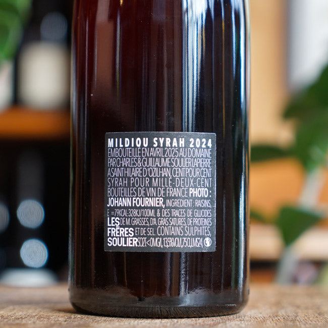 Mildiou Syrah 2024 - Les Frères Souliers