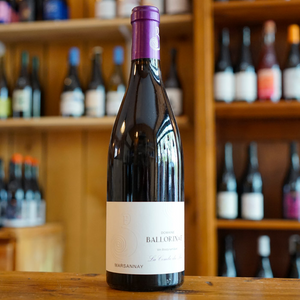Marsannay "La Combe du Pré" 2022 - Domaine Ballorin