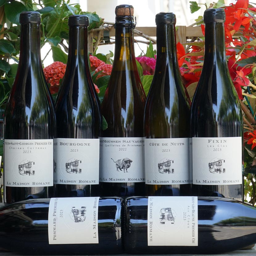 Mousses Sauvages Gamay 2022 - La Maison Romane