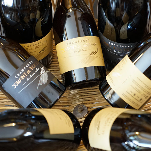 Les Terres Mêlées R21 Magnum - Domaine de Bichery
