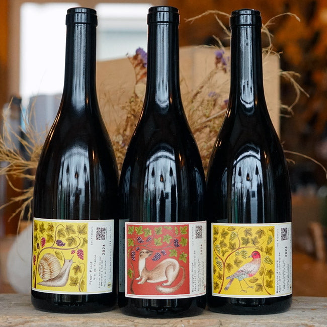 Bourgogne Aligoté 2024 - Les Flâneurs de Vin - Marée Haute Vins