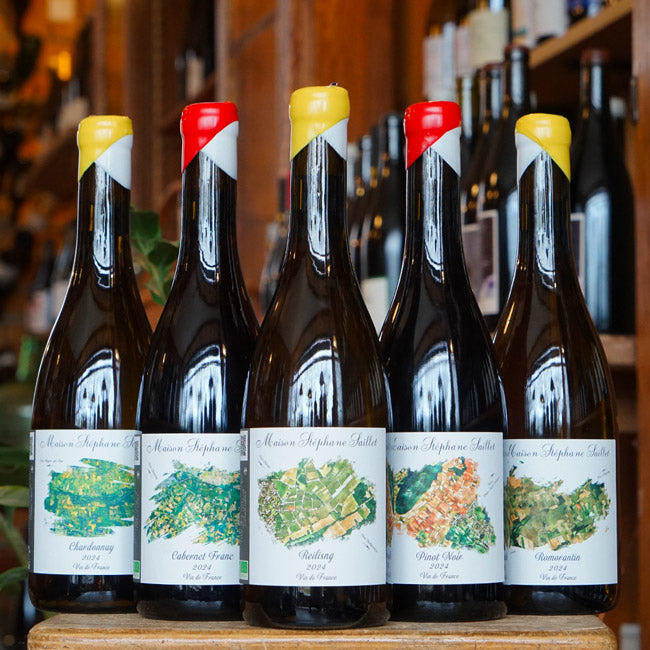 Pinot Noir 2024 - Stéphane Saillet