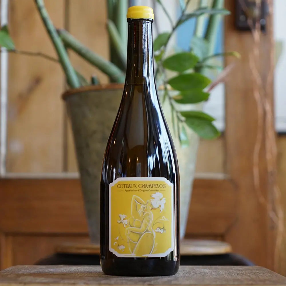 Coteaux Champenois Blanc 2022- Champagne Thomas de Marne
