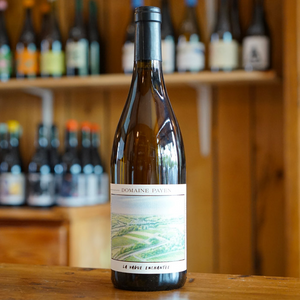 Anjou Blanc "La Vague Enchantée" 2024 - Domaine Payen