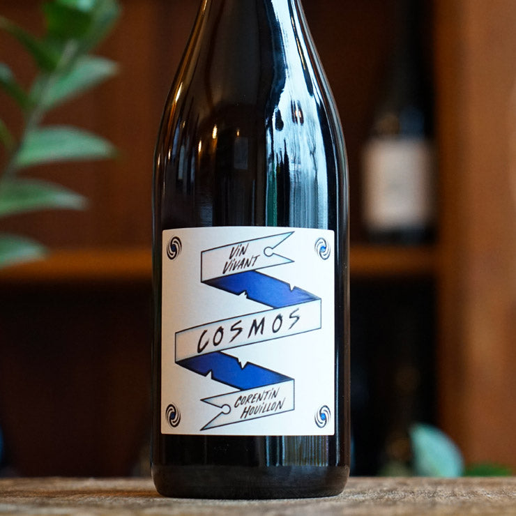 Cosmos 2024 - Corentin Houillon