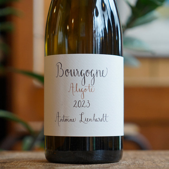 Bourgogne Aligoté 2023 - Antoine Lienhardt - Marée Haute Vins Vivants