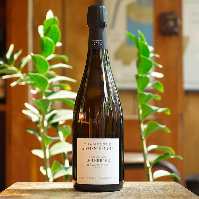 Le Terroir - Champagne Adrien Renoir