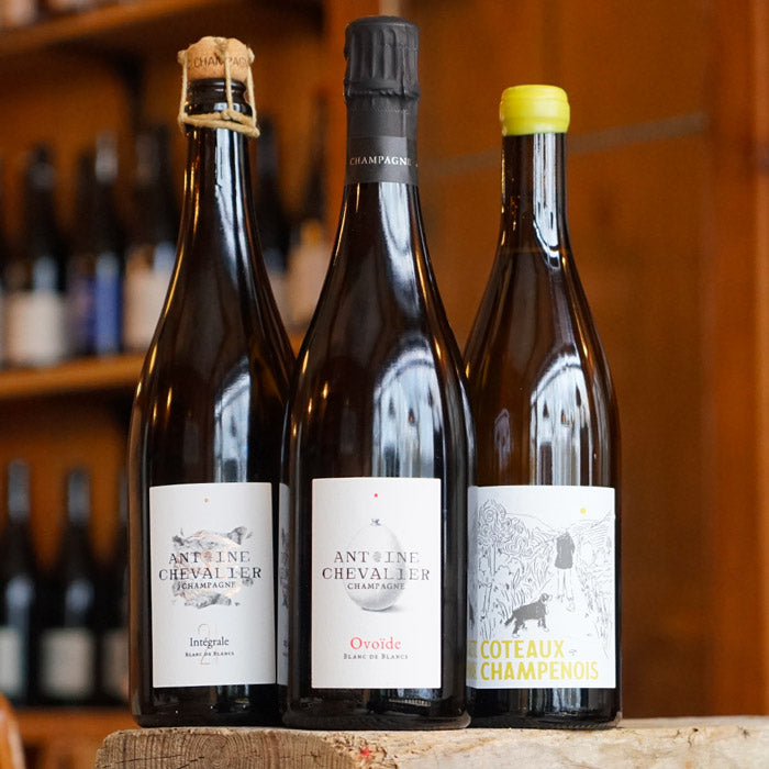 Coteaux Champenois Blanc "Les Crochots" 2023 - Antoine Chevalier