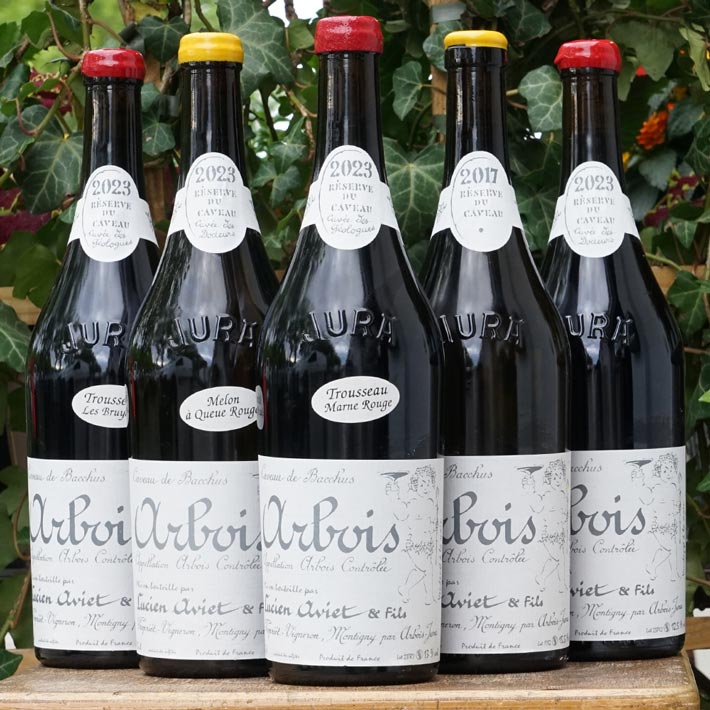 Trousseau Marne Rouge "Cuvée des Géologues" 2023 - Lucien Aviet