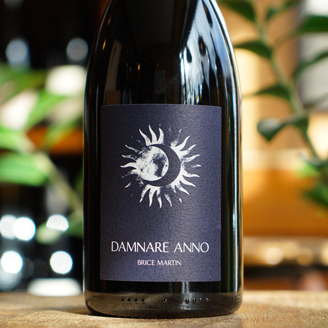 Damnare Anno 2024 - Brice Martin