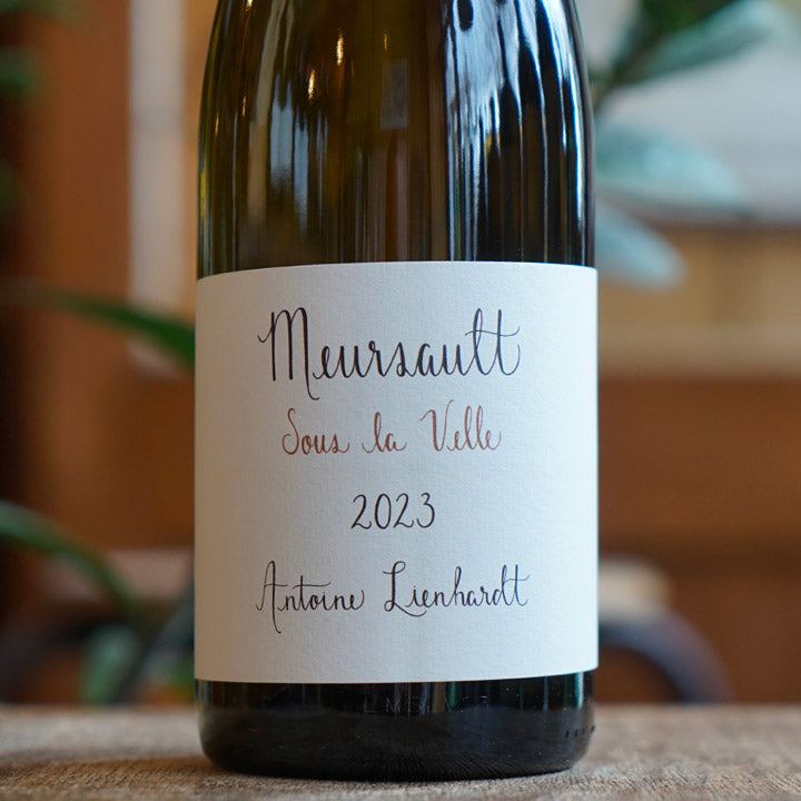 Meursault 2023 - Antoine Lienhardt