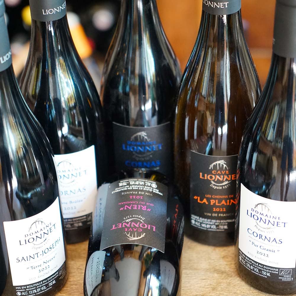 Les Chenins de la Plaine 2022 - Domaine Lionnet