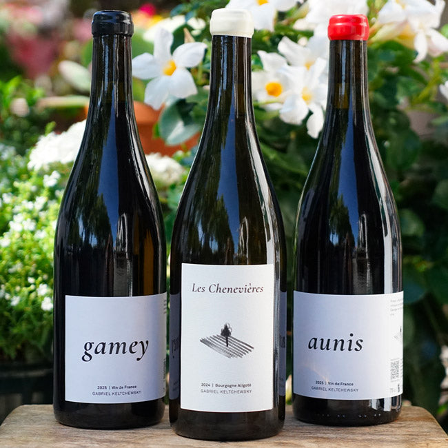 Pineau d'Aunis 2025 - Gabriel Keltchewsky