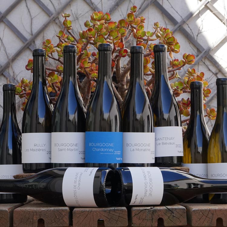 Hautes Côtes de Beaune Blanc 2022 - Marthe Henry