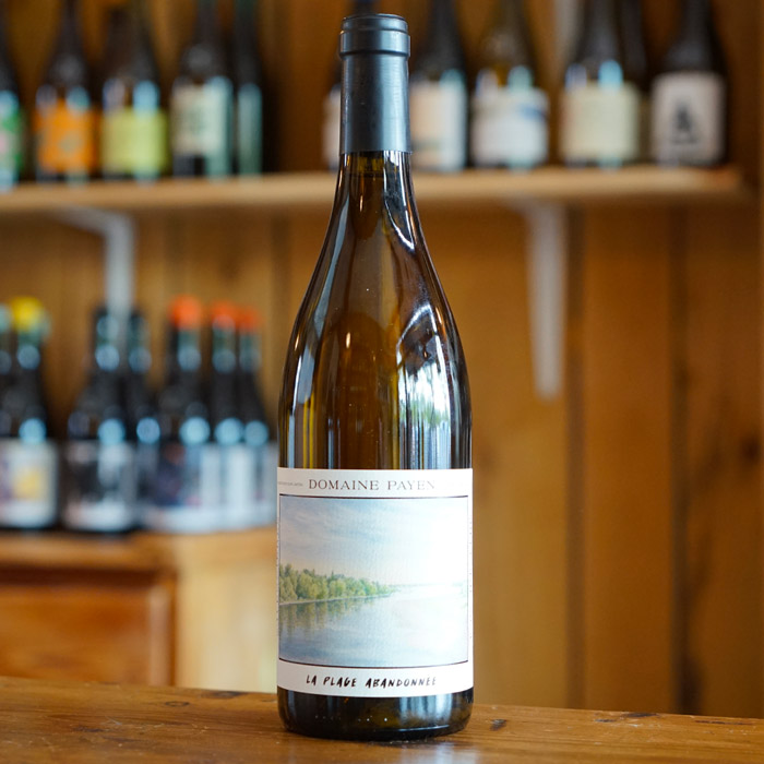 Savennières "La Plage Abandonnée" 2024 - Domaine Payen