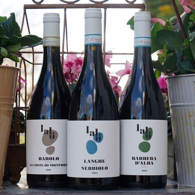 Langhe Nebbiolo 2023 - Lalu