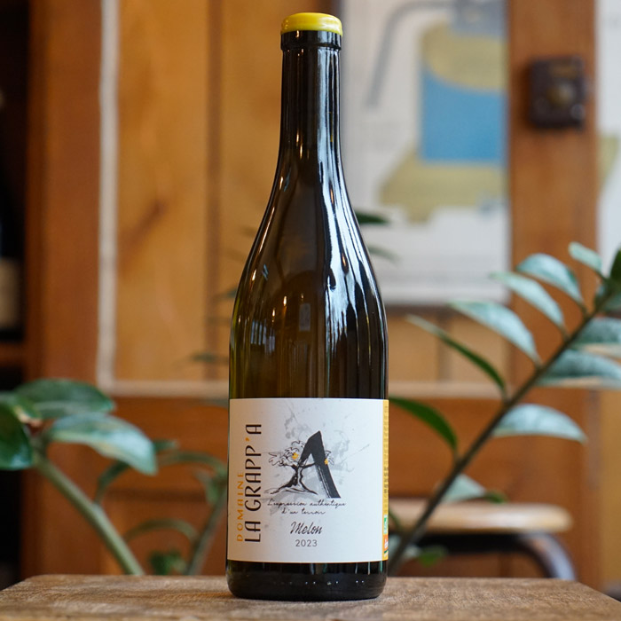 Melon à Queue Rouge 2023 - Domaine La Grapp'A