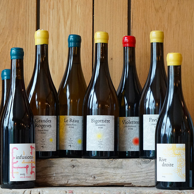Anjou Blanc "Pavillon" 2021 - Terra Vita Vinum