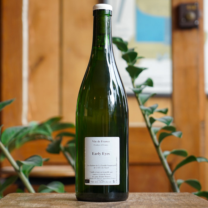 Early Eyes 2021 - Anders Frederik Steen et Anne Bruun Blauert