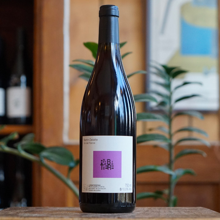 Pineau d'Aunis "Rabatière" 2022 - Domaine Bertin-Delatte