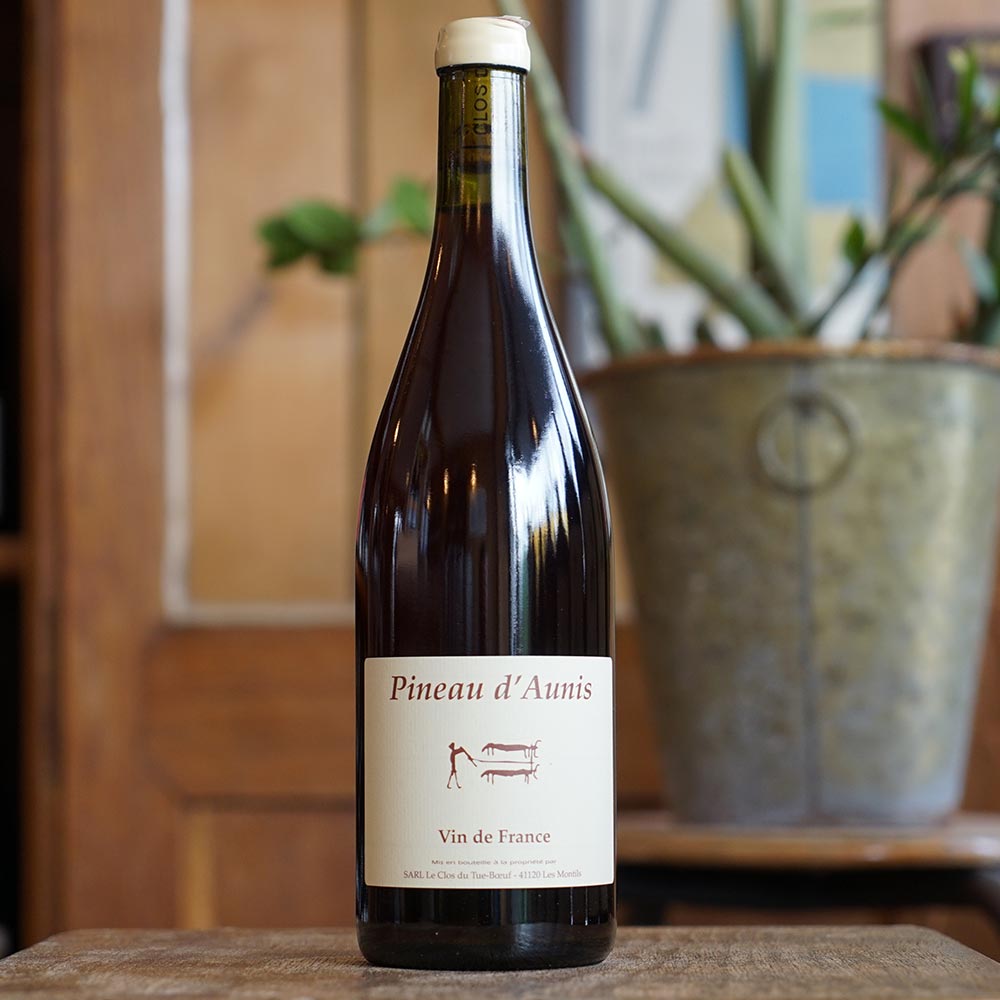 Pineau d'Aunis 2024 - Clos du Tue-Boeuf