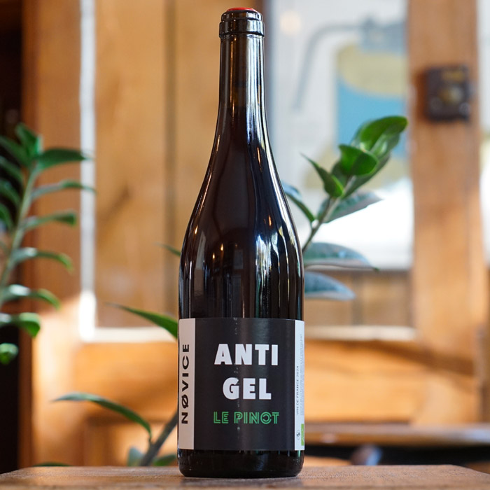 Le Pinot 2024 - NOVICE