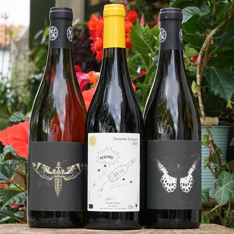 Maccabeu 2023 - Domaine Ledogar
