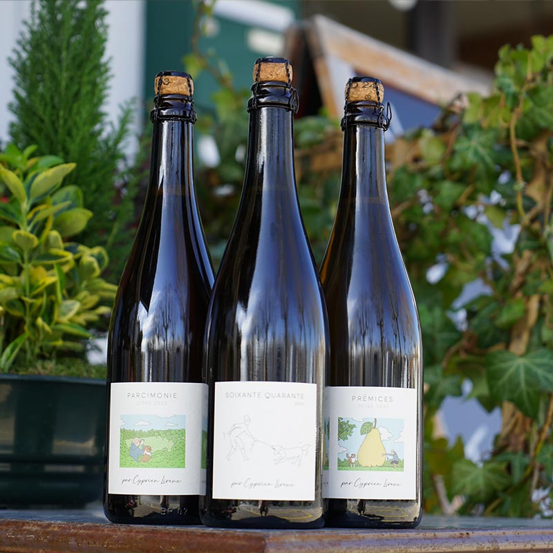 First Fruits 2023 - Domaine Cyprien Lireux