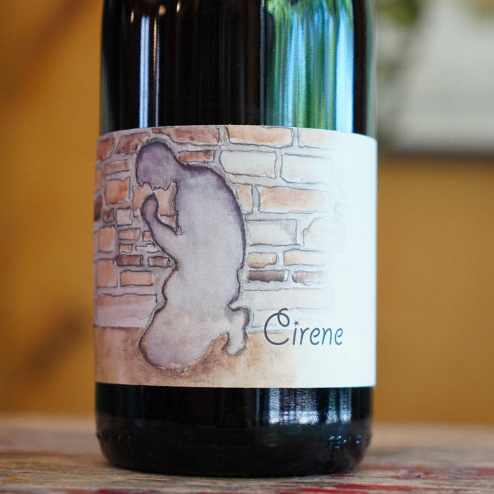 Cirene 2023 - Simon Bousquet