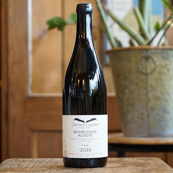 739ba053f5a8925900af11e6551c35