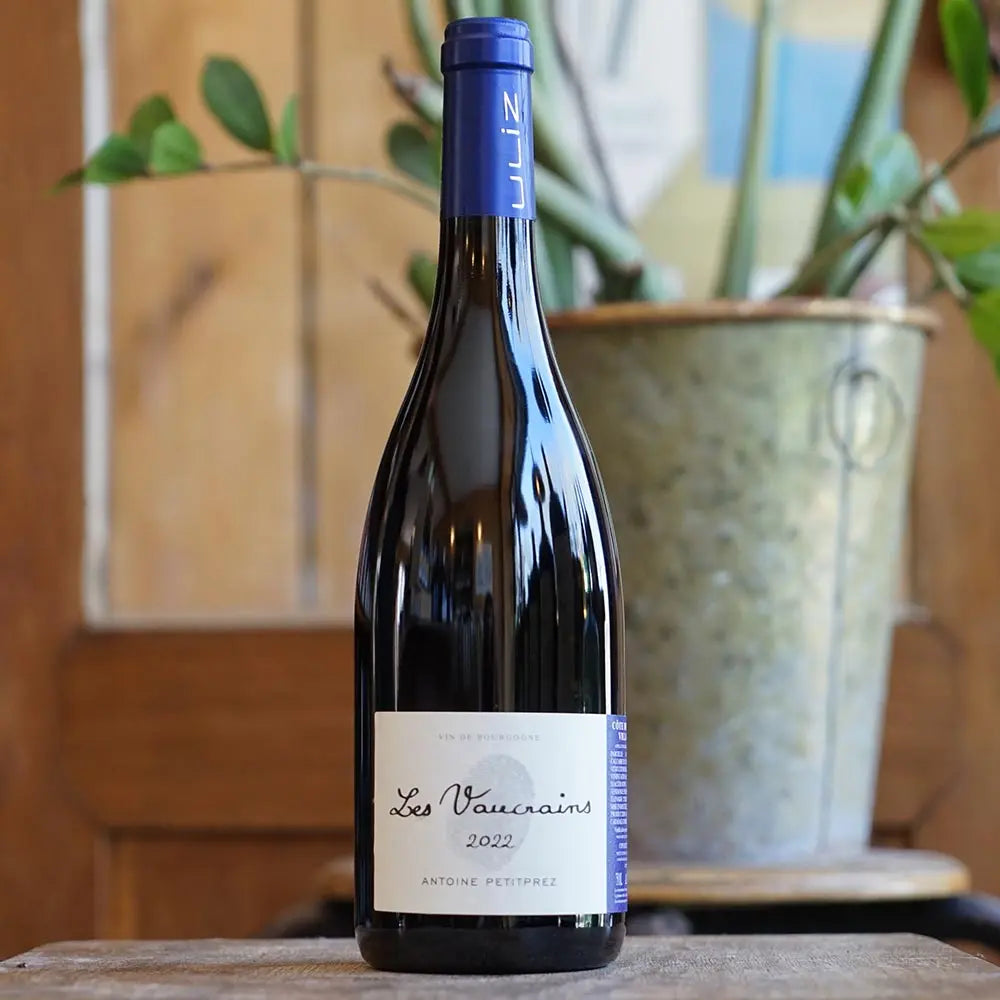 Côte de Nuits Village "Les Vaucrains" 2022 - Antoine Petitprez